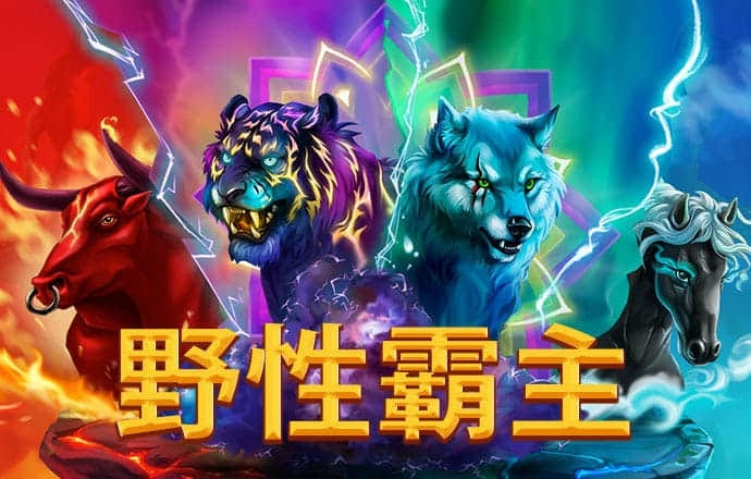 6t体育网页登录